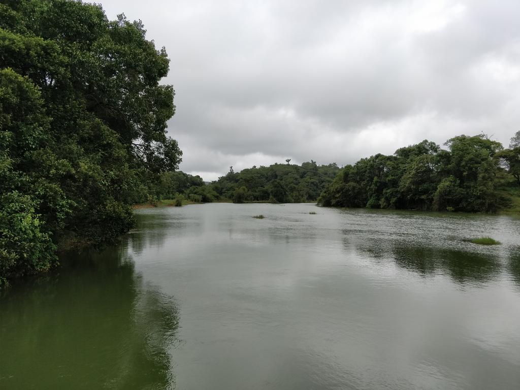 Homestay Creekside